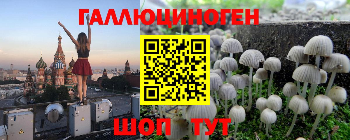 Галлюциногенные грибы Psilocybine cubensis  Вход с VPN  Острогожск 